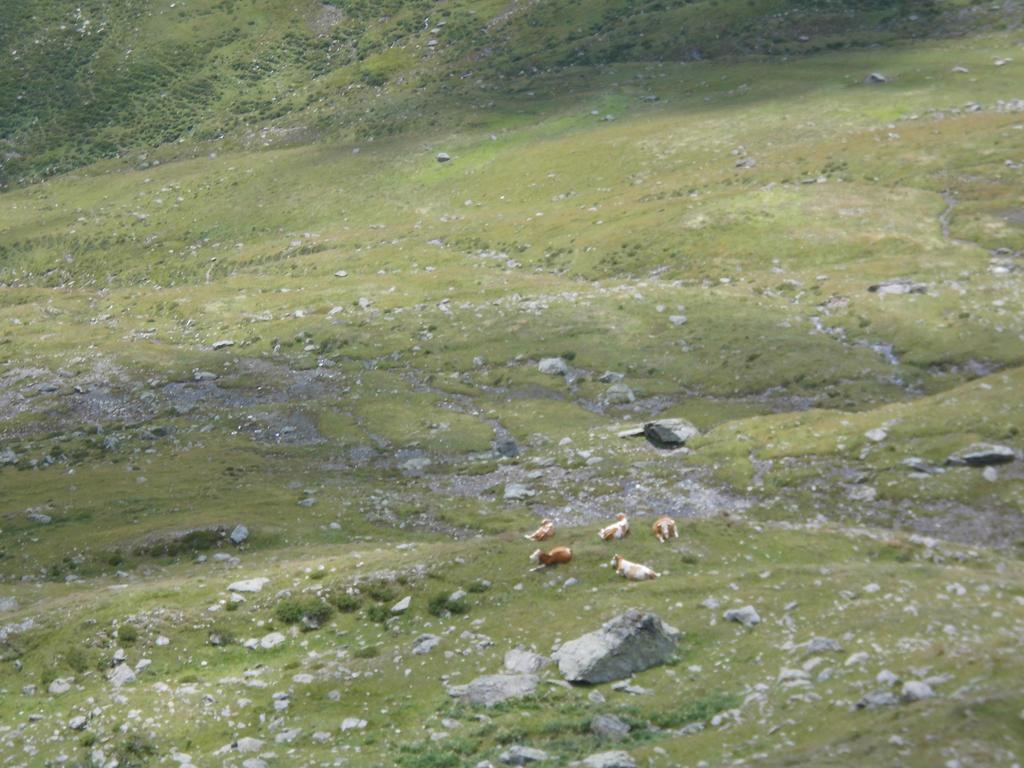 Obergarberhof Lägenhet Sillian Rum bild